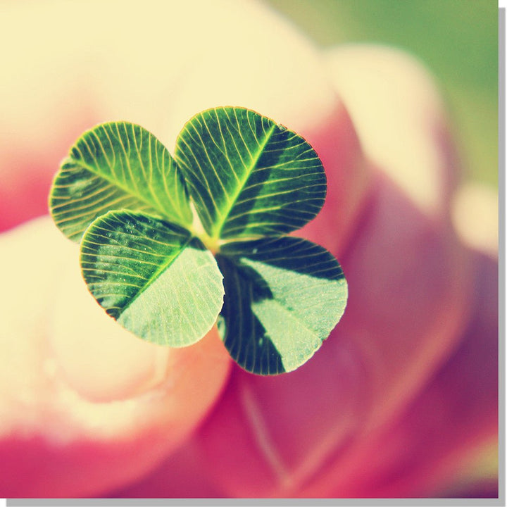 Luck (Becoming Lucky: Attracting and Enhancing Good Luck) ~ Album