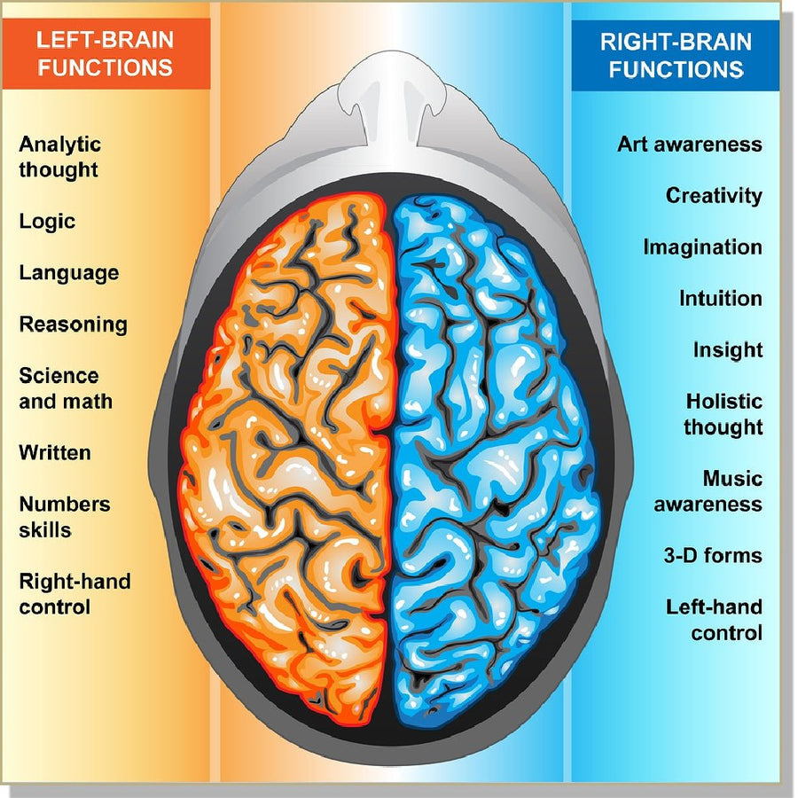 Using Both Halves of the Brain-InnerTalk Subliminal Self-Help CD / MP3 ...