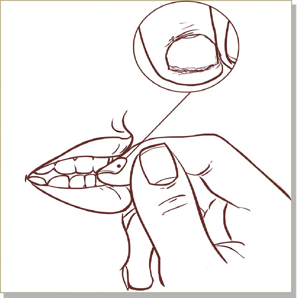 Para Siempre libre de Morder las Uñas - DialogoInterno - InnerTalk Productos subliminales de autoayuda y superación personal. Tecnología patentada. Self help, subliminal, self improvement products. Patented technology.