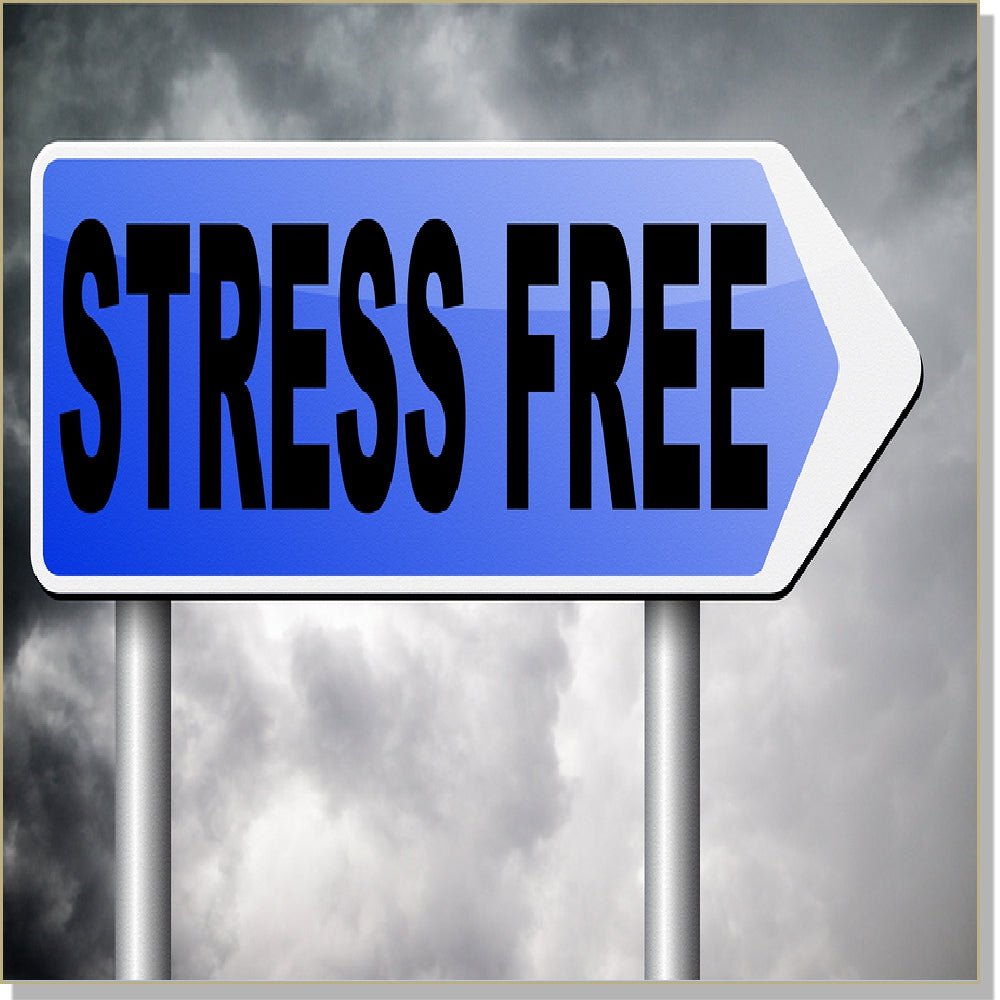 Stress Free Living-InnerTalk Subliminal Hypnosis CD / MP3 Set-The Best ...