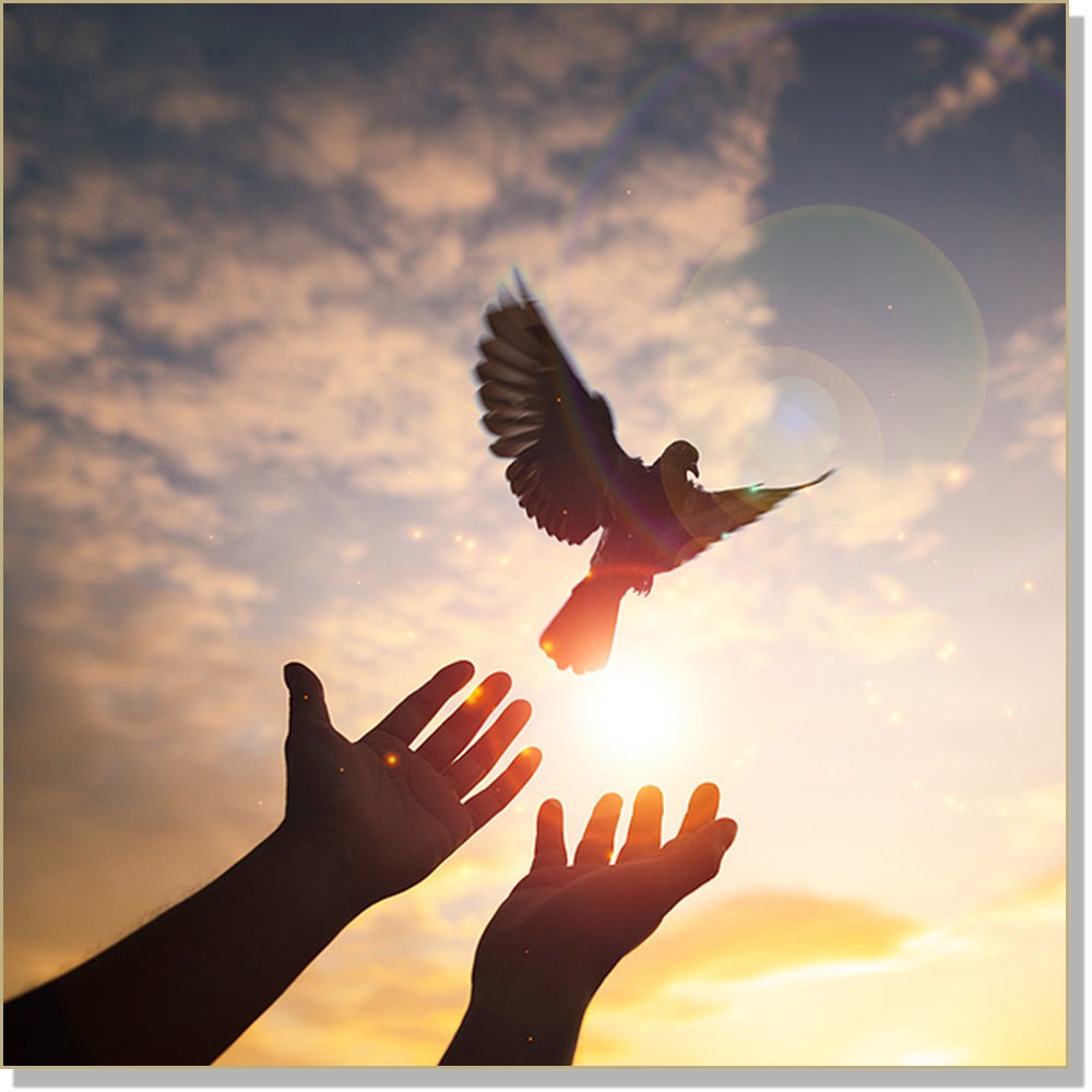 Releasing Depression ~ Set: InnerTalk Subliminal Affirmations, self help CDs and MP3s